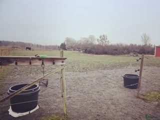 stallplats finnes: Stallplats Knivsta i Knivsta - Annons 2