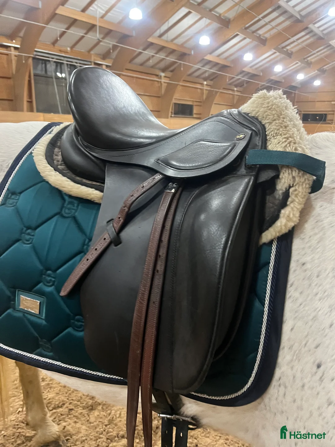 Sadlar hästutrustning till salu: Globus clic i nyskick  - Annons 2
