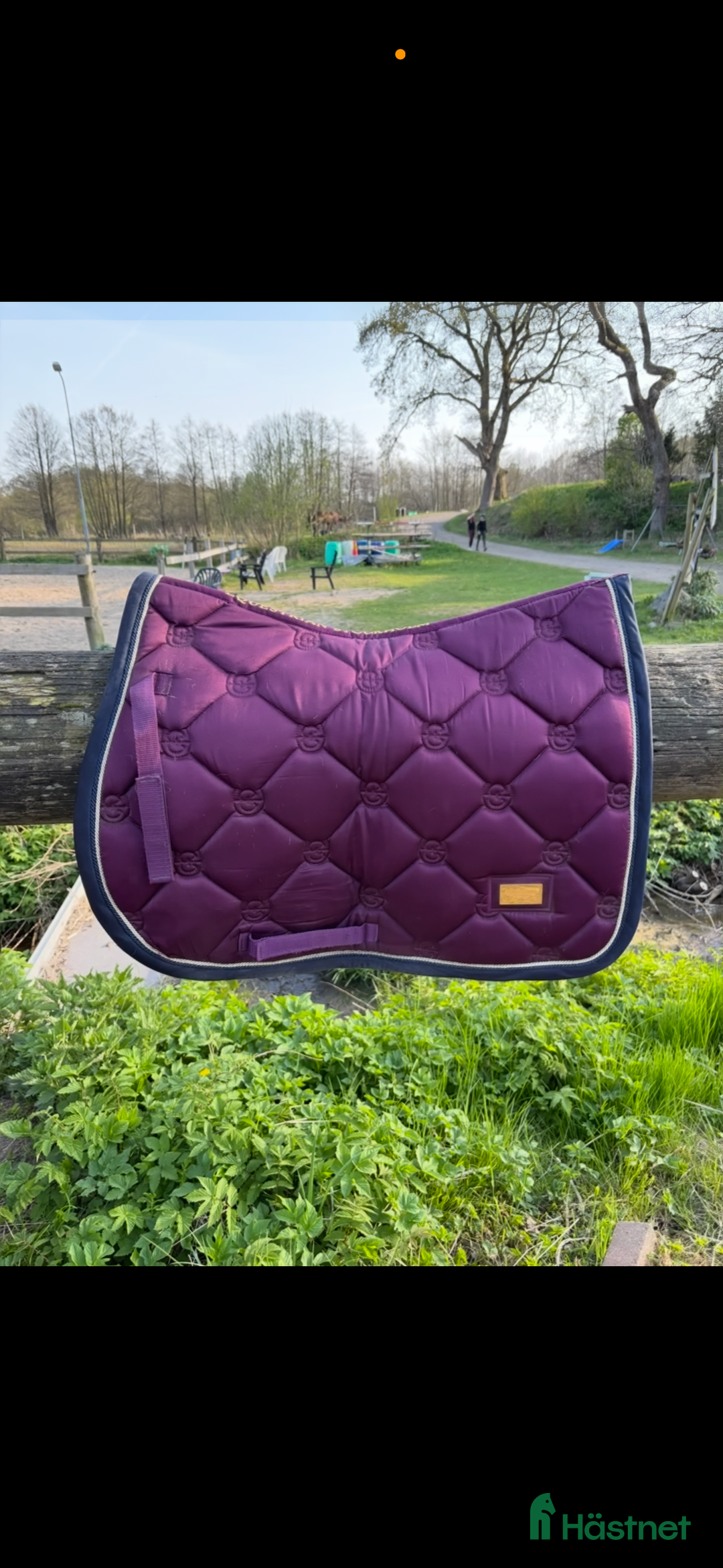 Schabrak & Vojlockar hästutrustning till salu: Lila equestrian Stockholm schabrak i Öjersjö - Annons 1