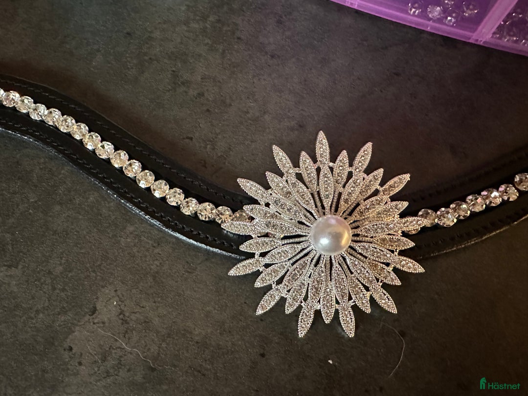 Övrig Hästutrustning hästutrustning till salu: Unika pannband i Bro - Annons 8