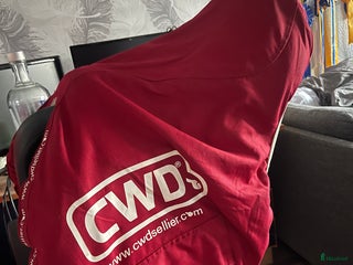 Sadlar hästutrustning till salu: Cwd madmosiell 2GS MÅSTE BORT i Svanesund - Annons 4