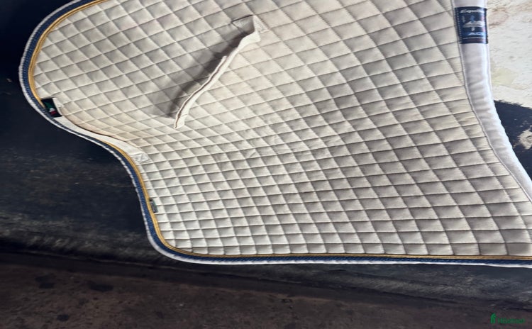 Schabrak & Vojlockar hästutrustning till salu i Kimstad - Annons 11