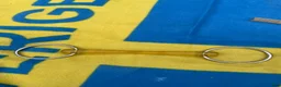Övrig Hästutrustning hästutrustning till salu: Häst avslut i Åkersberga - Annons 31