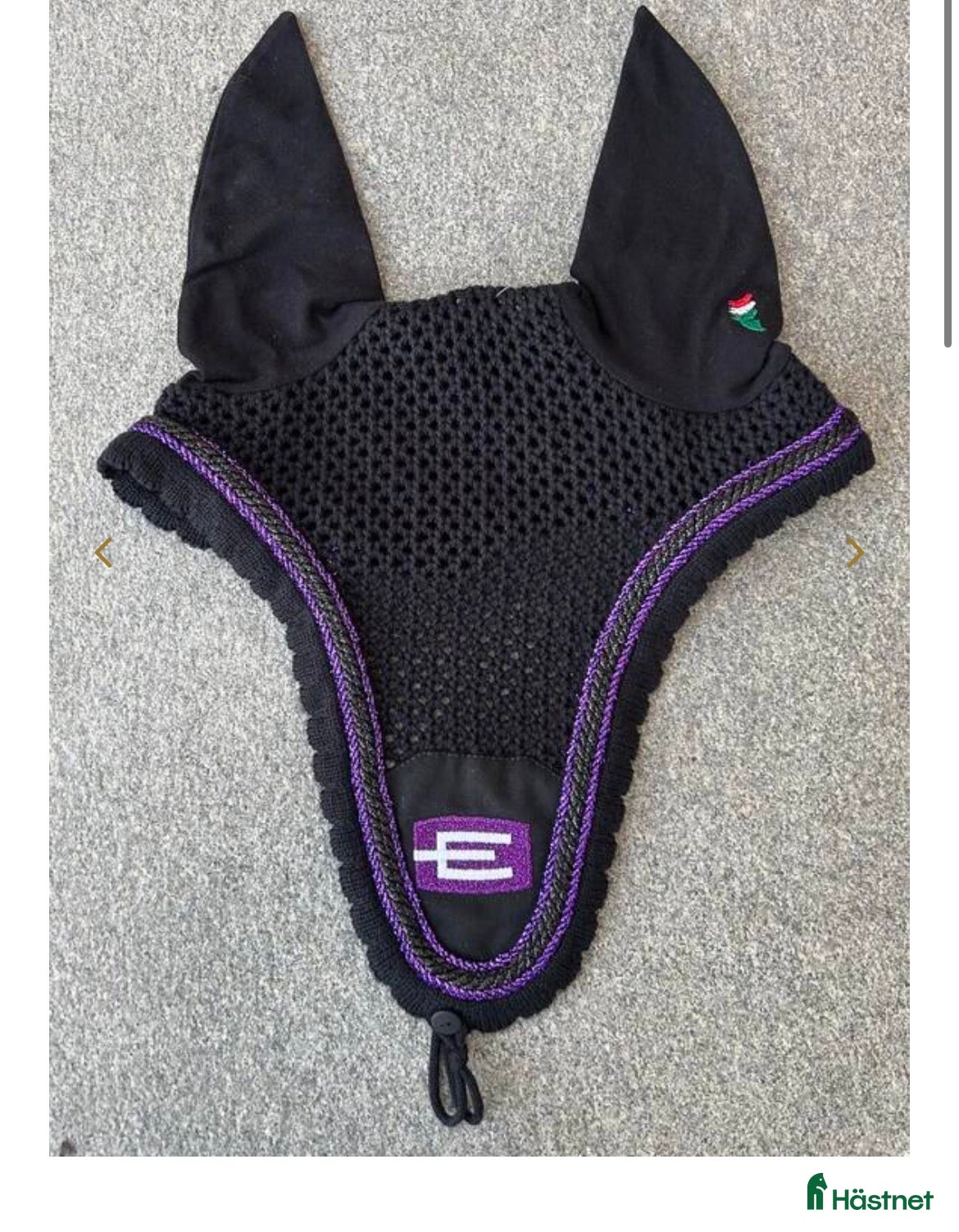 Övrig Hästutrustning hästutrustning SÖKER!!💜  - Annons 23