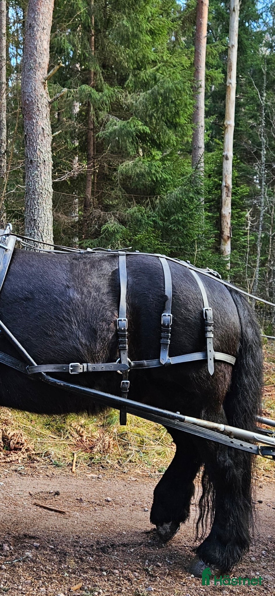 Körselar körning till salu: Baksele Maraton - Annons 4
