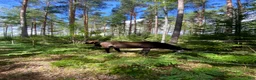  stallplats finnes: Stallplats i Skövde - Annons 12