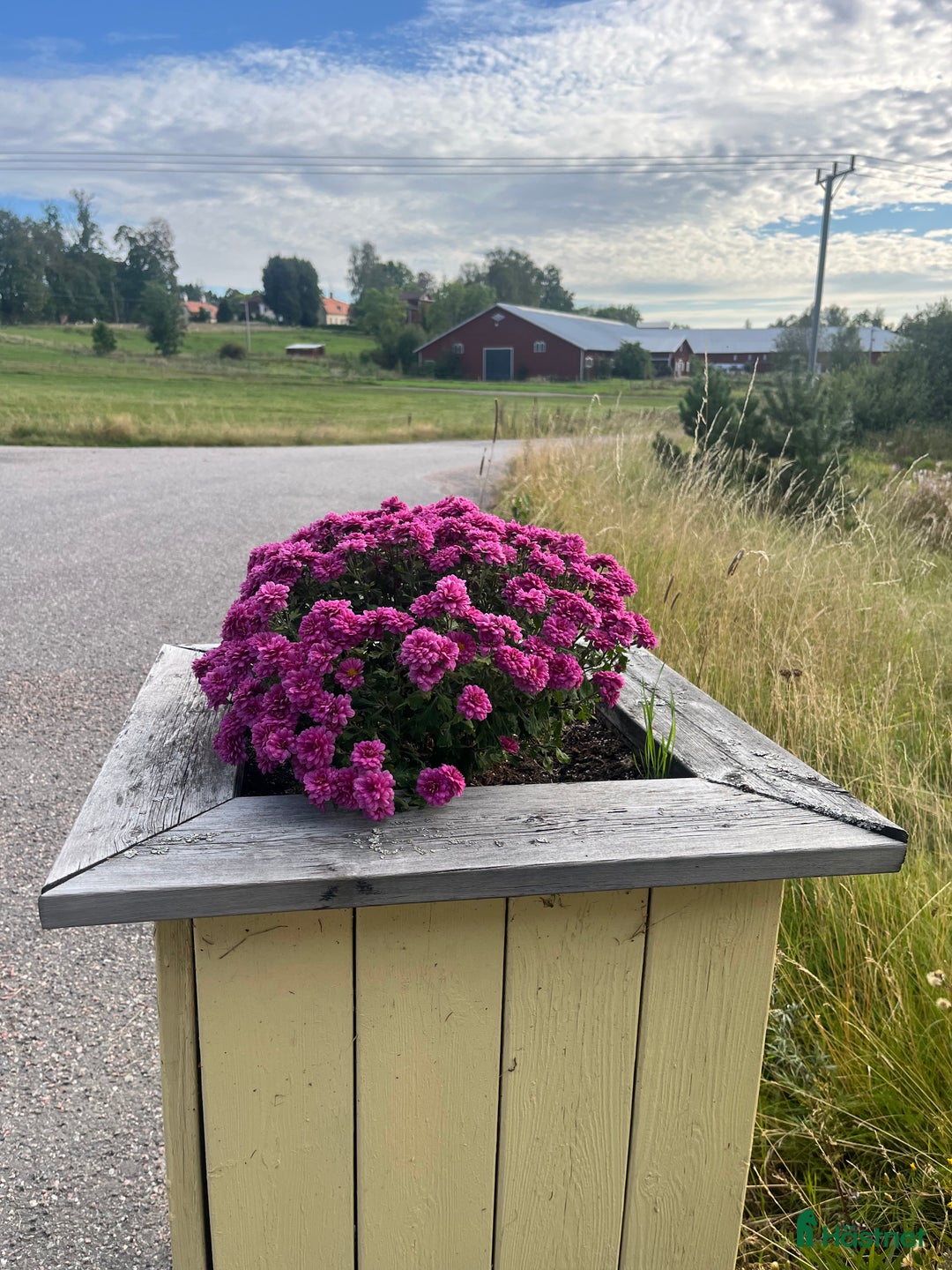  stallplats finnes: Stallplats/lösdrift & ridhus GNESTA/FLEN i Flen - Annons 5