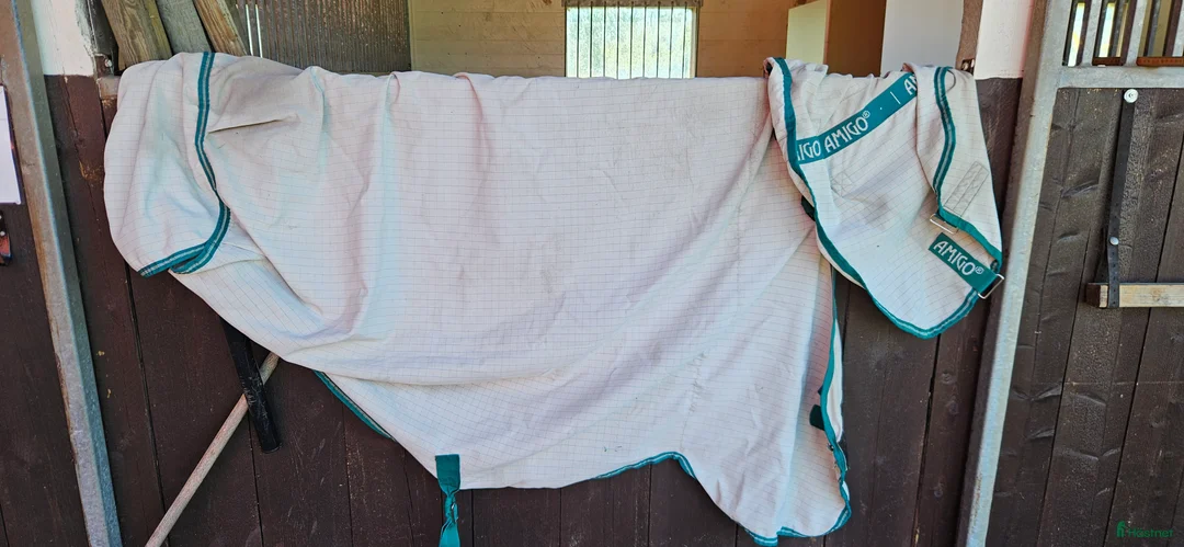 Övrig Hästutrustning hästutrustning till salu: Massa ponny saker i Vingåker - Annons 17