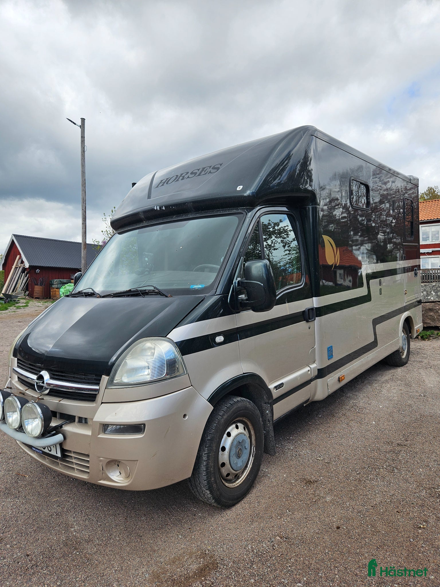 Hästlastbilar  fordon & transport till salu: Renault Master Hästlastbil – B-kort - Annons 6