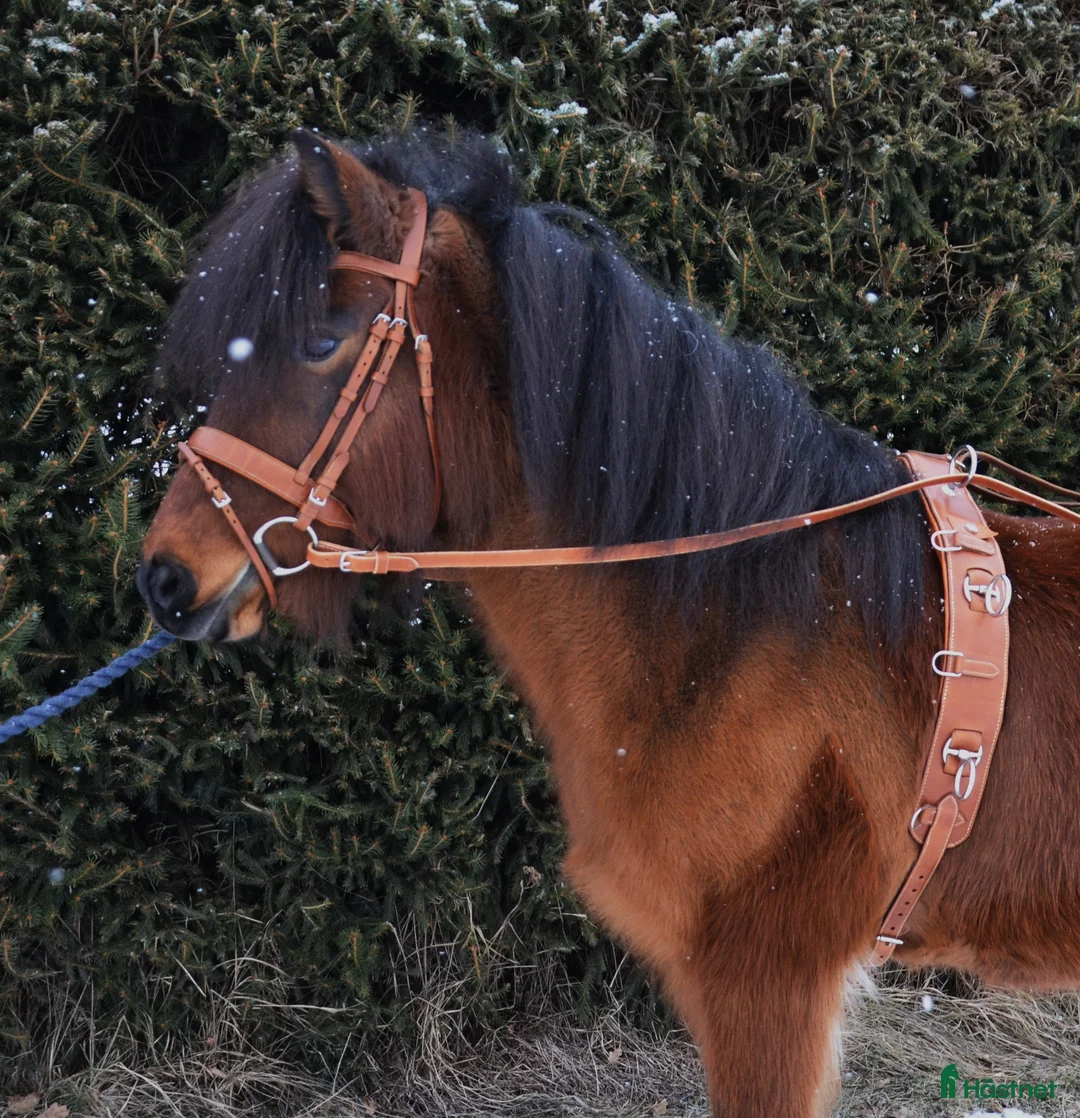 Övrig Körutrustning körning till salu: Tömkörningsdäckel  - Annons 1