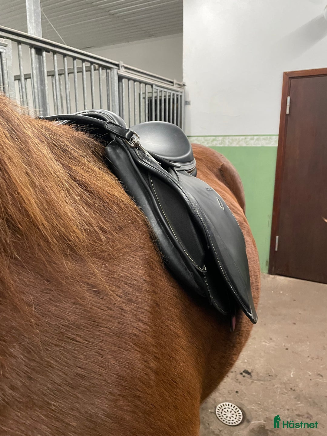 Sadlar hästutrustning till salu: Smart By Lippo Hoppsadel i Kalmar - Annons 4