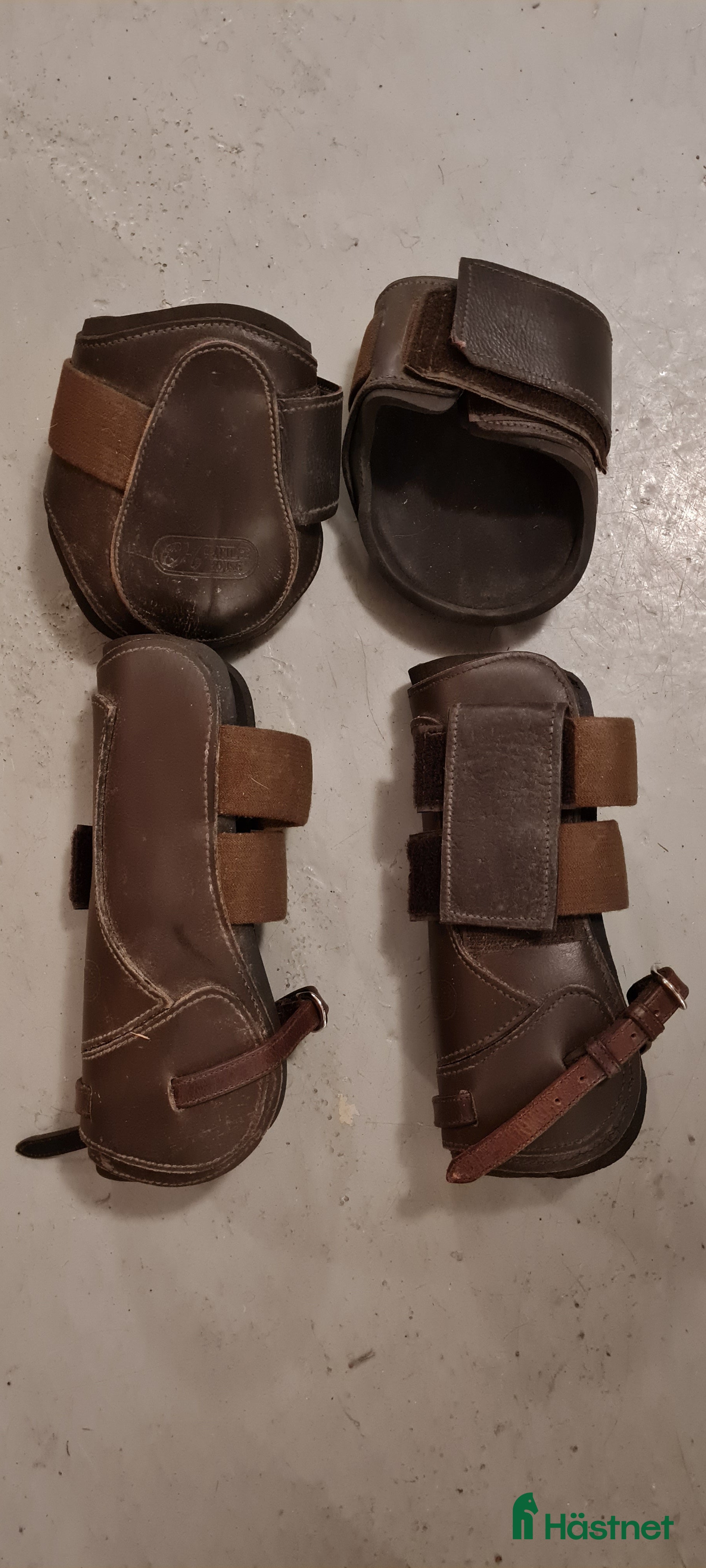 Benskydd hästutrustning till salu: Benskydd i Härnösand - Annons 5