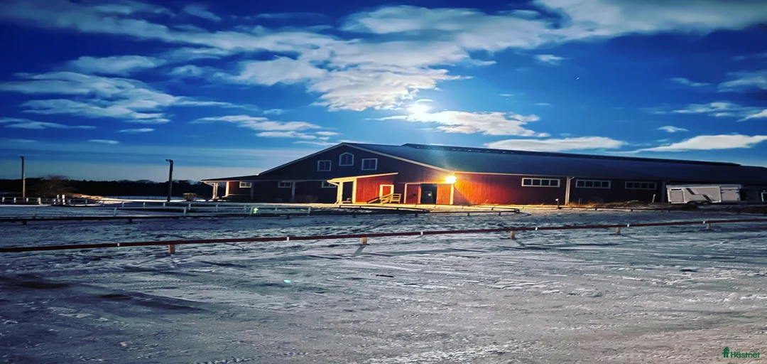 Galleribild {{count}}