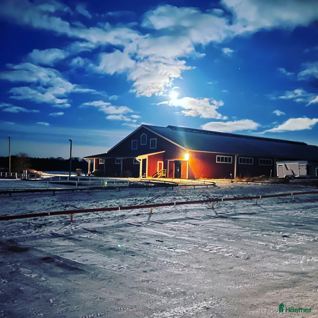 Galleribild {{count}}