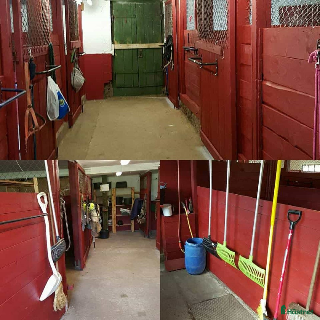  medryttarhäst finnes: Stallplats finnes i Sparsör i Sparsör - Annons 3