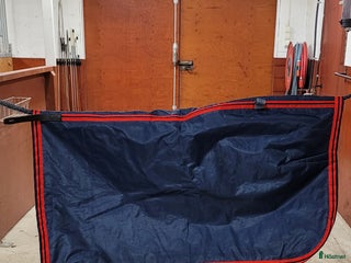 Övrig Travutrustning trav till salu: Körtäcke, förbygel, transportskydd mm i Eskilstuna - Annons 4
