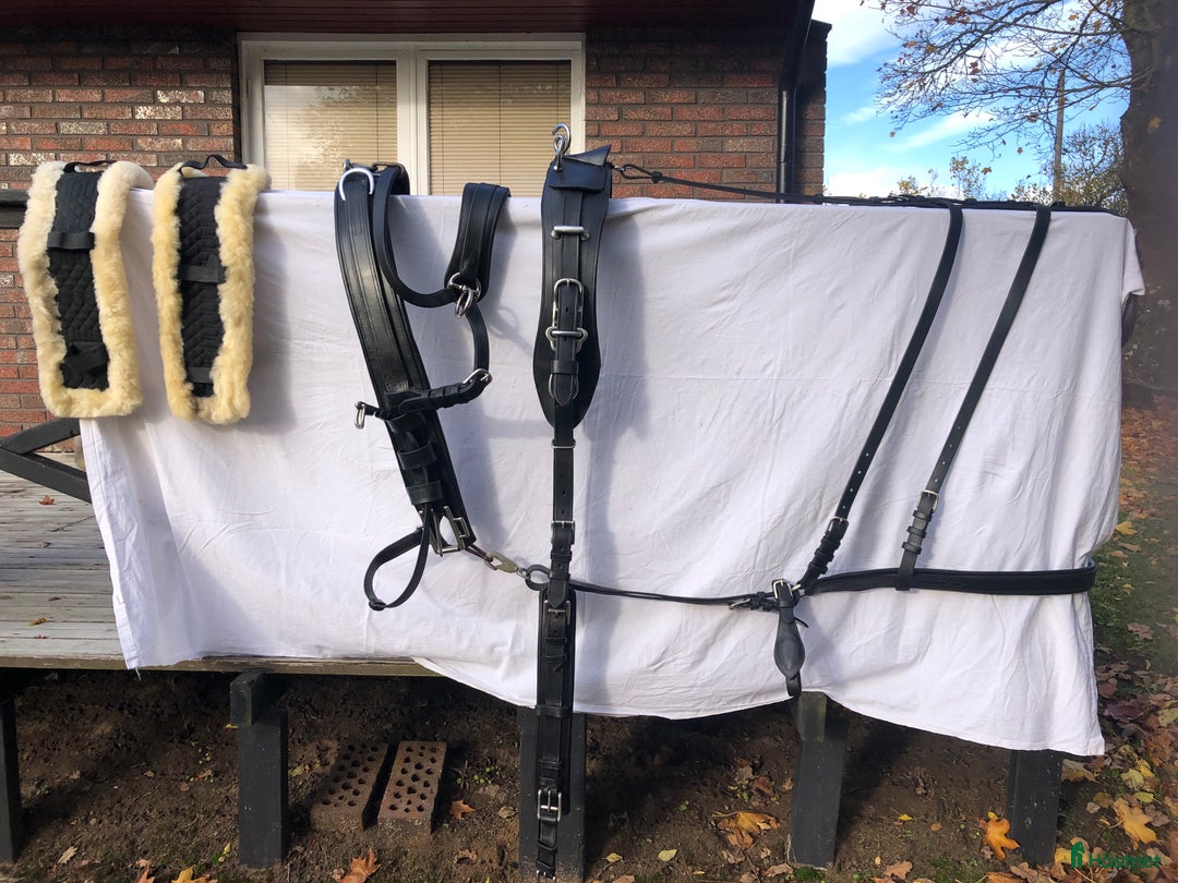 Körselar körning till salu: Kör utrustning stl X-full i Vara - Annons 1