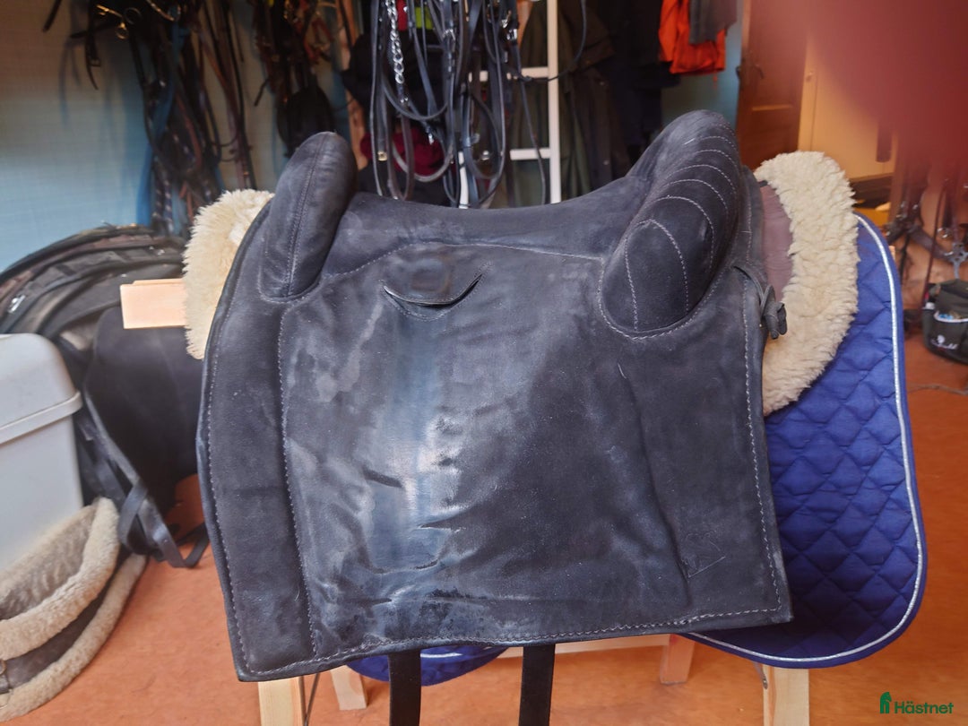 Sadlar hästutrustning till salu: Akademisk sadel  i Skutskär - Bild 4