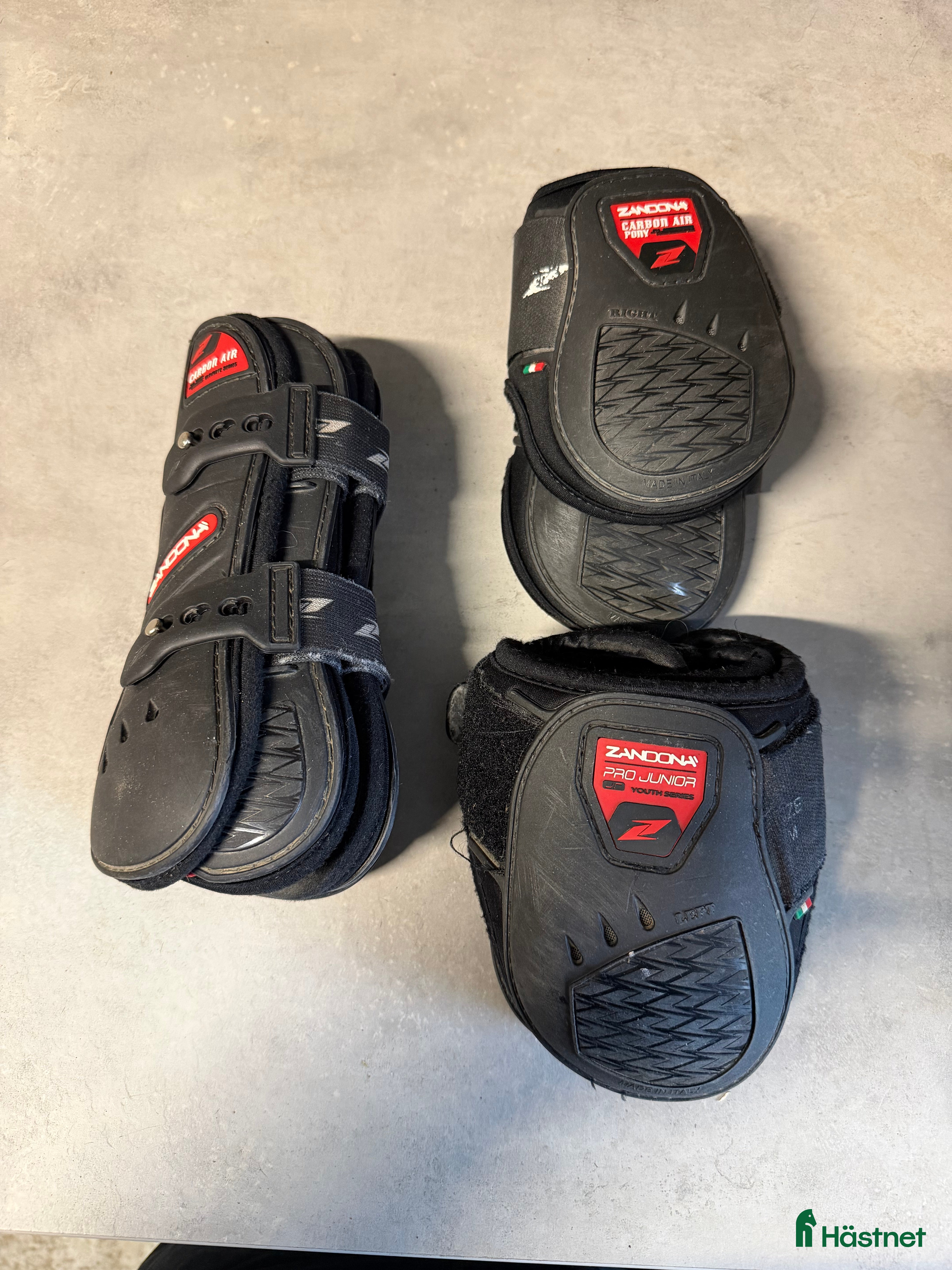 Benskydd hästutrustning Zandona skydd - Annons 17