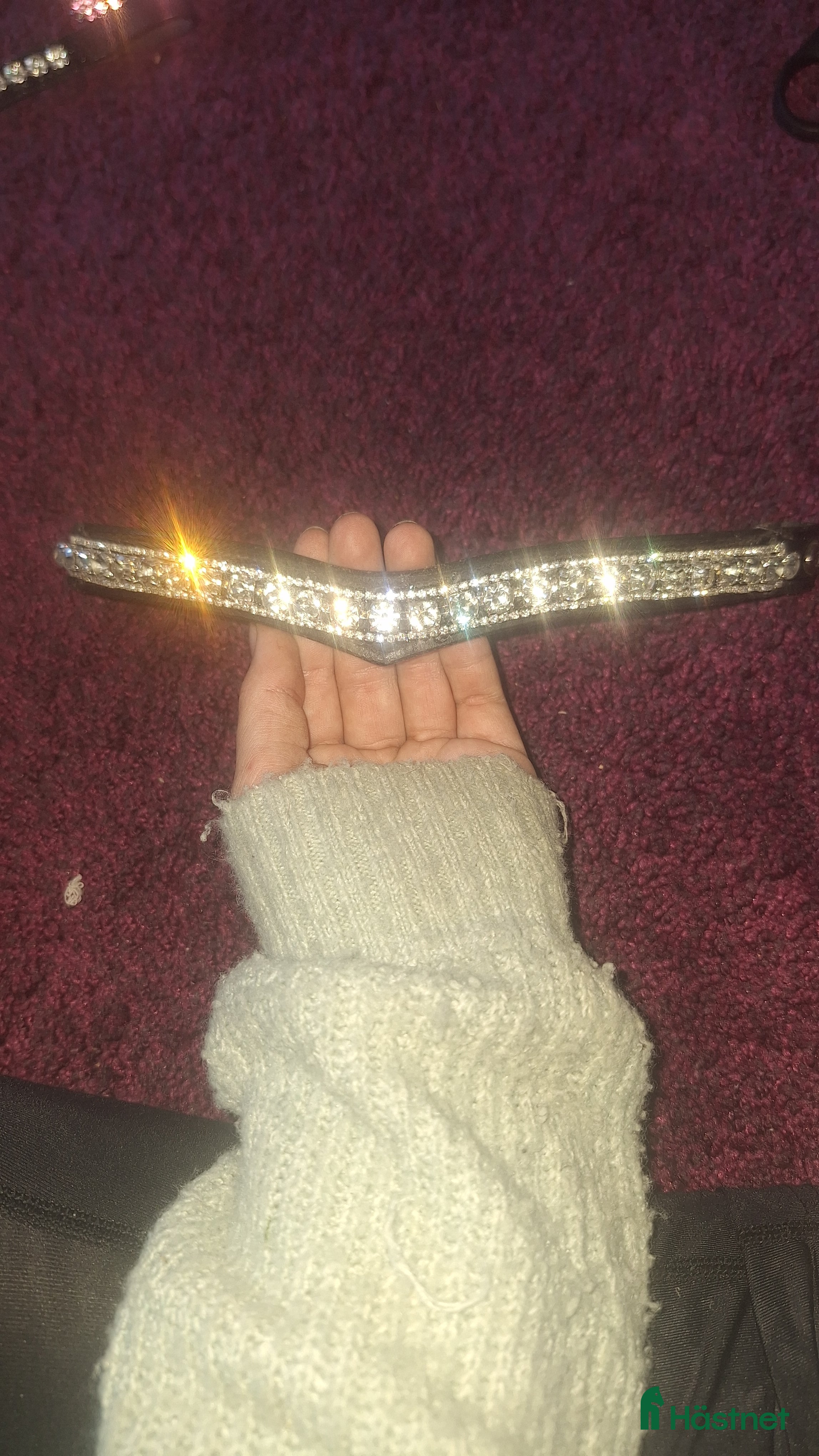 Träns hästutrustning 🌟Panband till salu🌟 i Nora - Annons 11