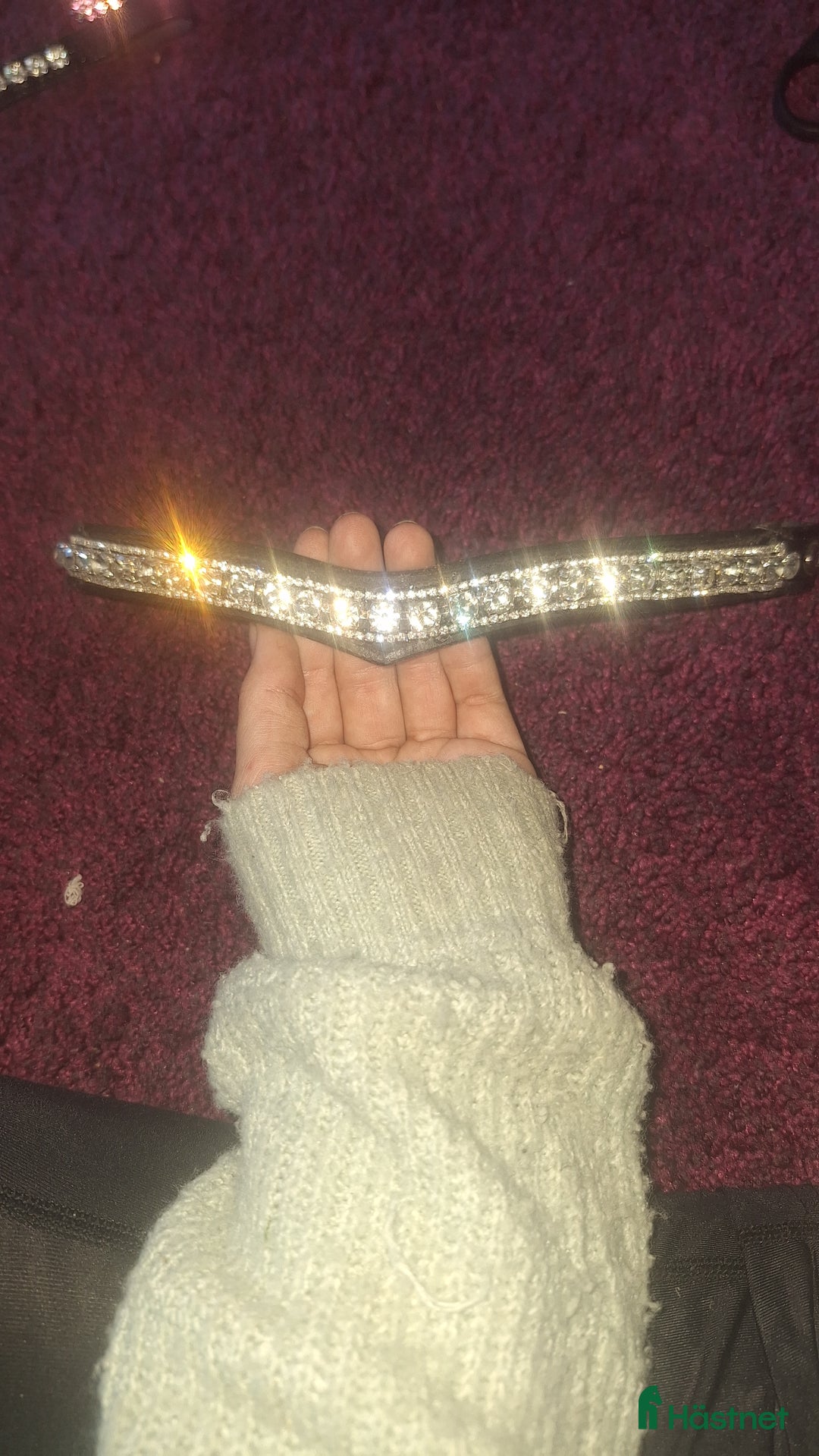 Träns hästutrustning till salu: 🌟Panband till salu🌟 i Nora - Annons 1