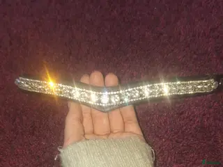 Träns hästutrustning 🌟Panband till salu🌟 i Nora - Annons 11