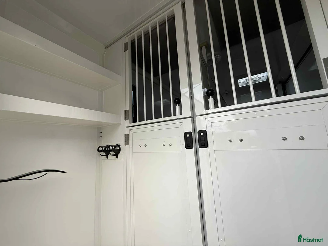 Hästlastbilar  fordon & transport till salu: NORDIC HORSE 5 STUTERI *HÖG LASTVIKT* i Köping - Annons 9