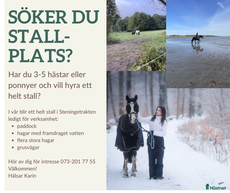  stallplats Helt stall i Steninge Halmstad  - Annons 2