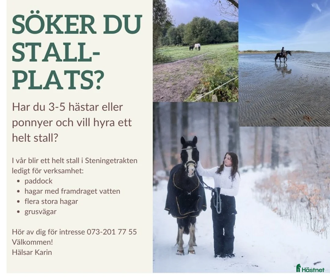  stallplats finnes: Helt stall i Steninge Halmstad  i Steninge - Annons 1