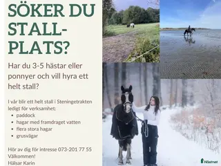 stallplats Helt stall i Steninge Halmstad - Annons 2