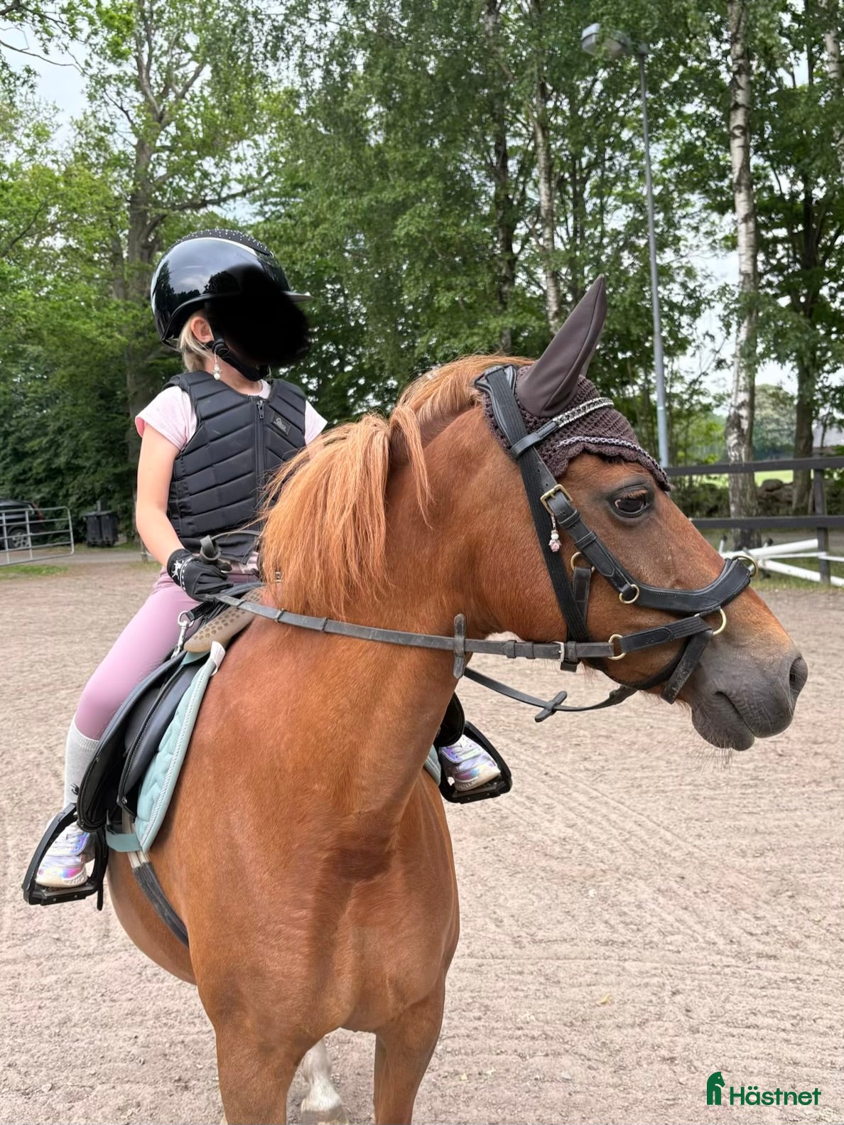  hästar Snäll barnponny - Annons 1