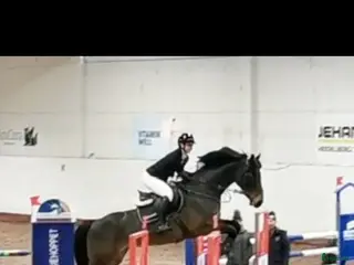 hästar Fantastisk sto till salu - Annons 4