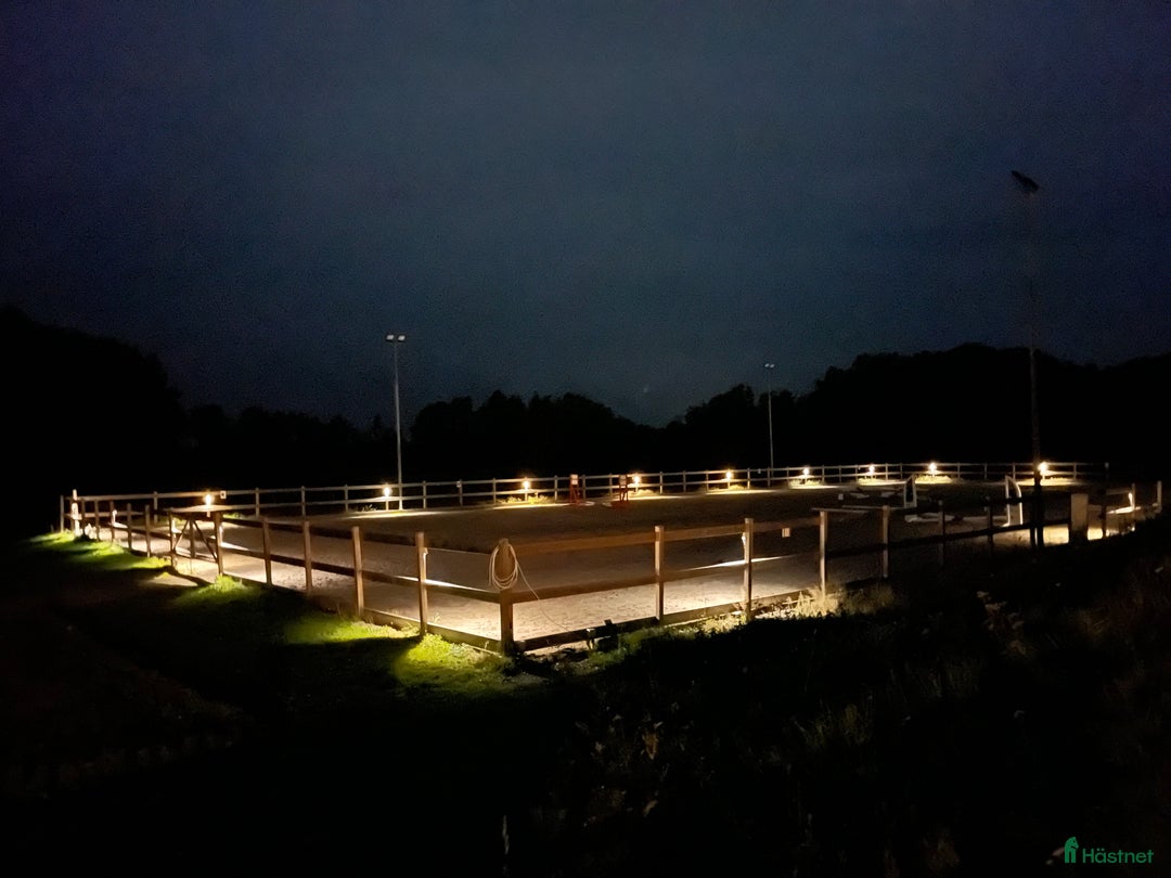  stallplats finnes: Stallplats med fullservice  i Bjärnum - Annons 7