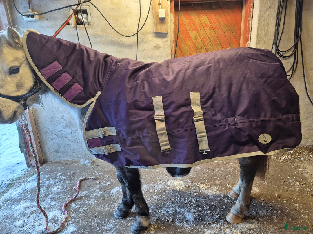 Täcken hästutrustning till salu: Vinterdäcken med hals i Rossön - Annons 2