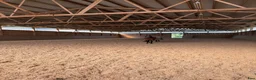  stallplats finnes: Stallplatser/rehab  i Floby - Annons 4