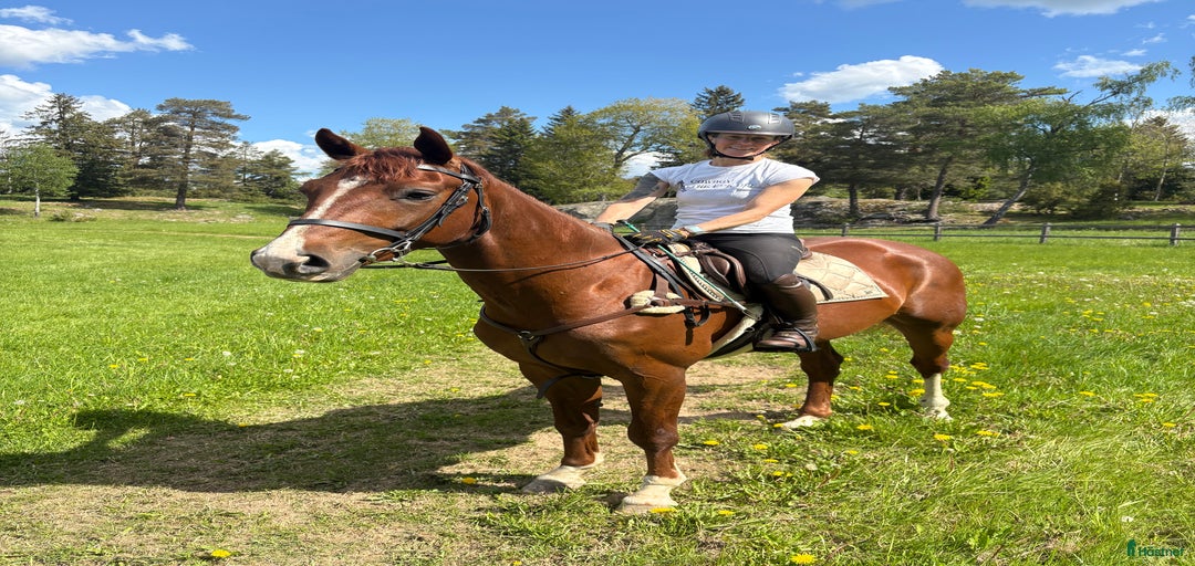 Galleribild {{count}}