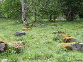 hästar Foderponny sökes - Annons 1