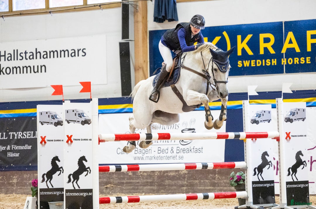 Dressyr hästar till salu: Drömhäst🌟❣️ i Boda Kyrkby - Annons 2