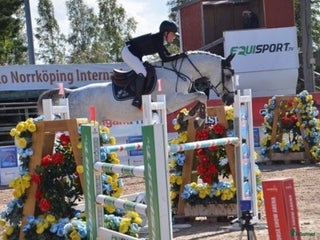 hästar Bästa Jalapeno! i Kimstad - Annons 9