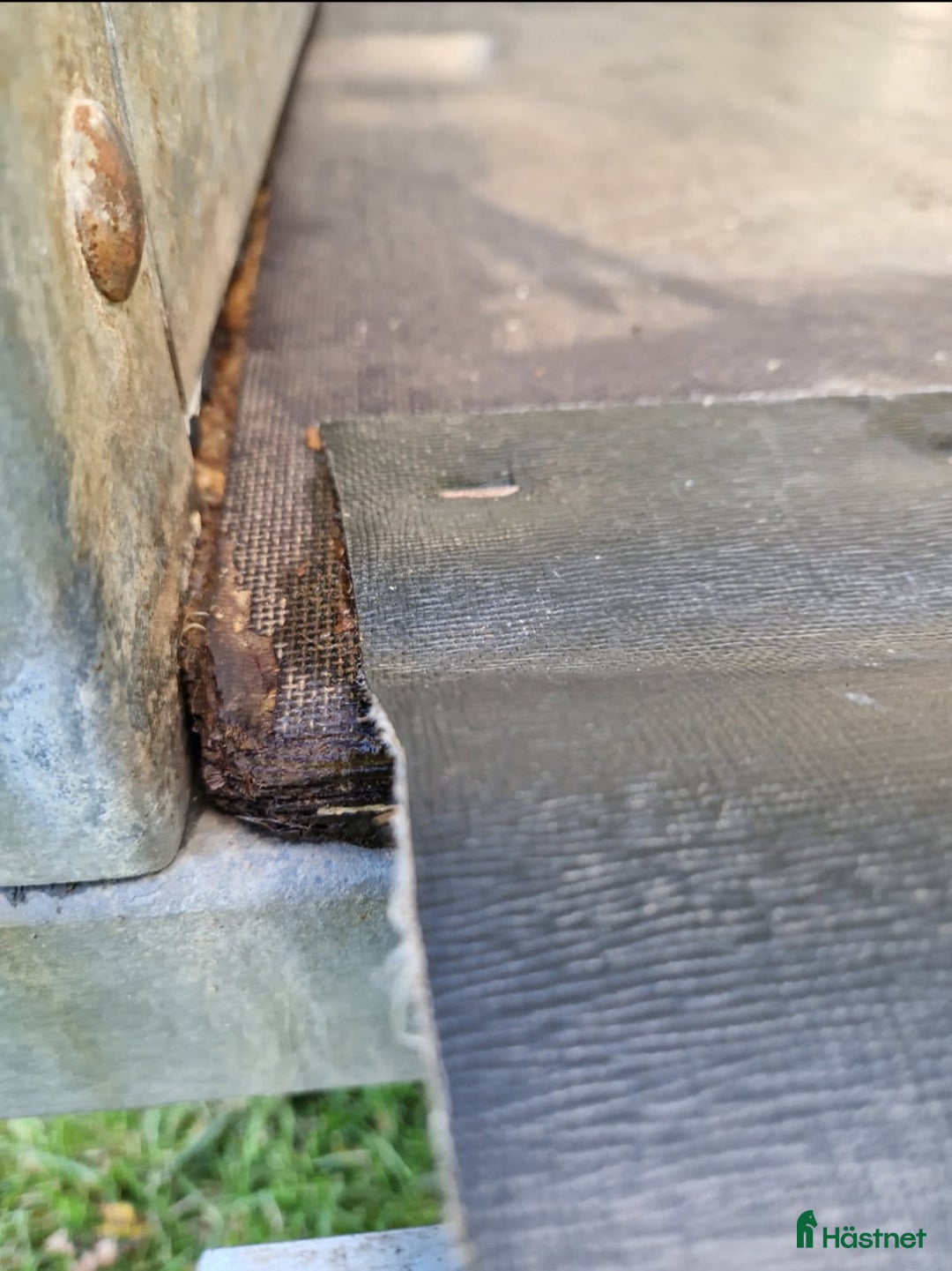 Hästtransporter  fordon & transport till salu: Thule Trane Exclusive hästtransport - Annons 6