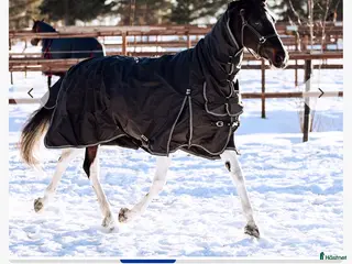 Täcken hästutrustning Finntack vintertäcken och Övergångstäcke - Annons 15