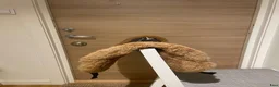 Sadeltillbehör hästutrustning till salu: Mattes padd - Annons 4