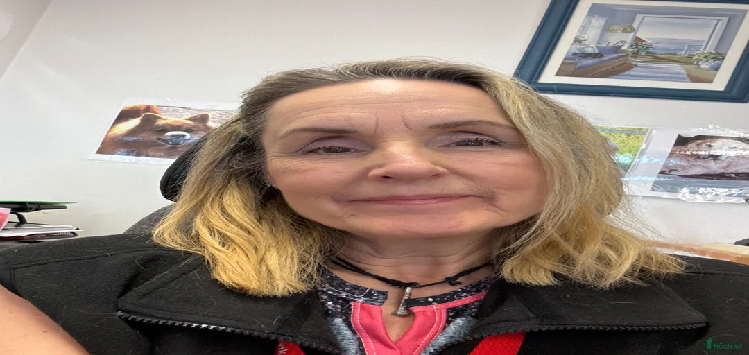 Galleribild {{count}}