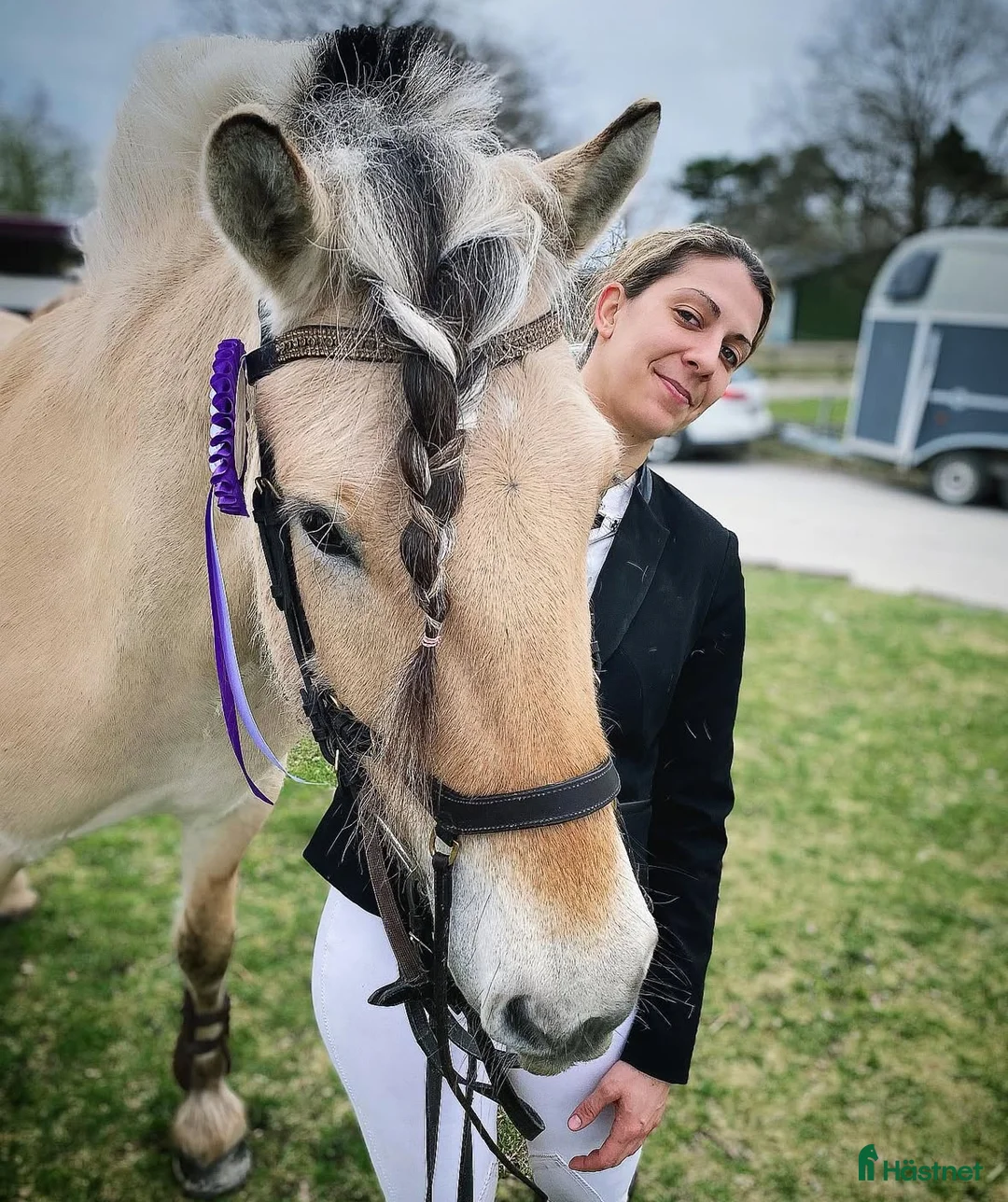  medryttarhäst finnes: Dressyr intresserad ryttare sökes till Fjording i Västerhaninge - Annons 16