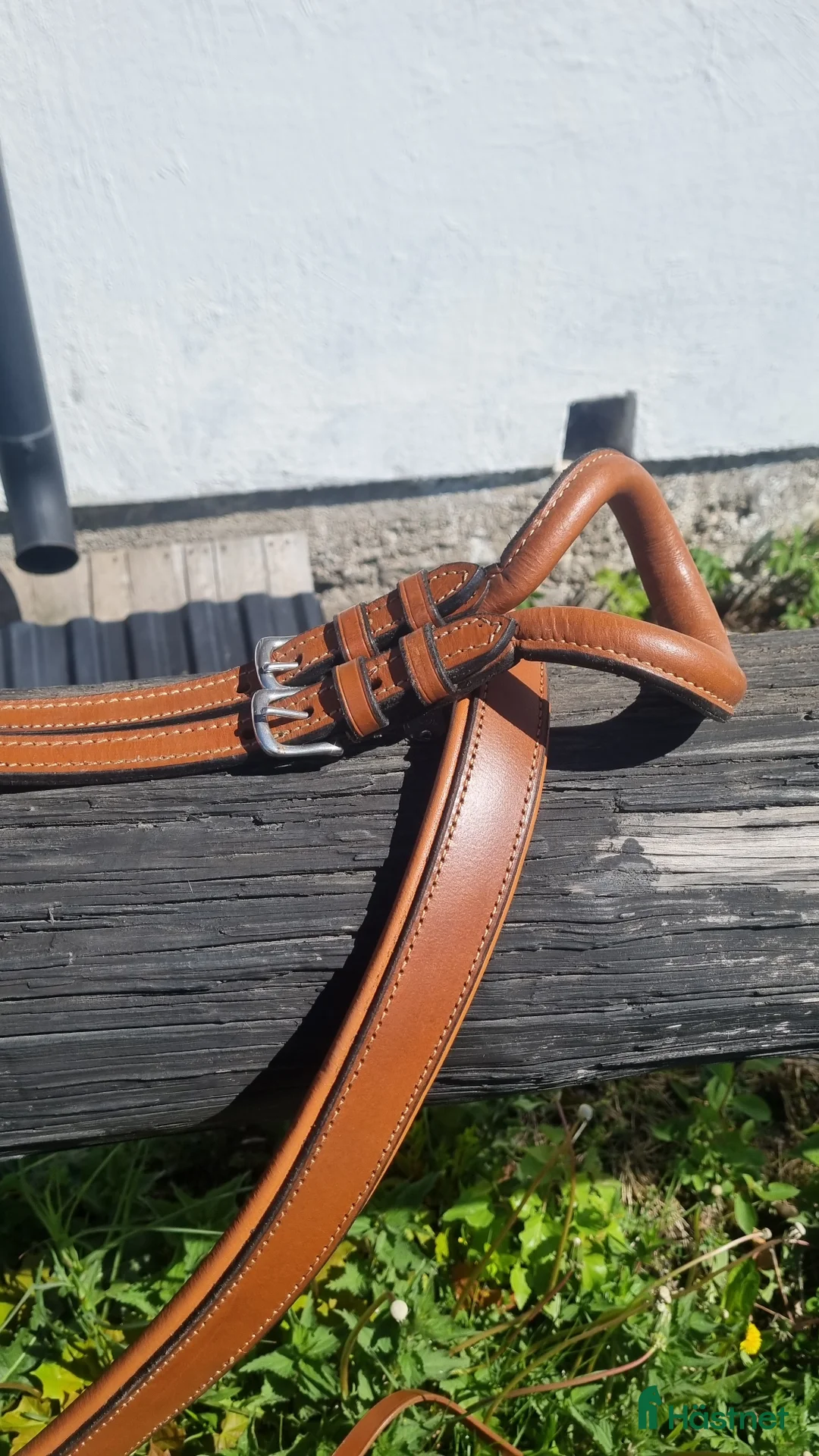 Körselar körning till salu: Cognac färgad bröstsele X-full i Eskilstuna - Annons 3