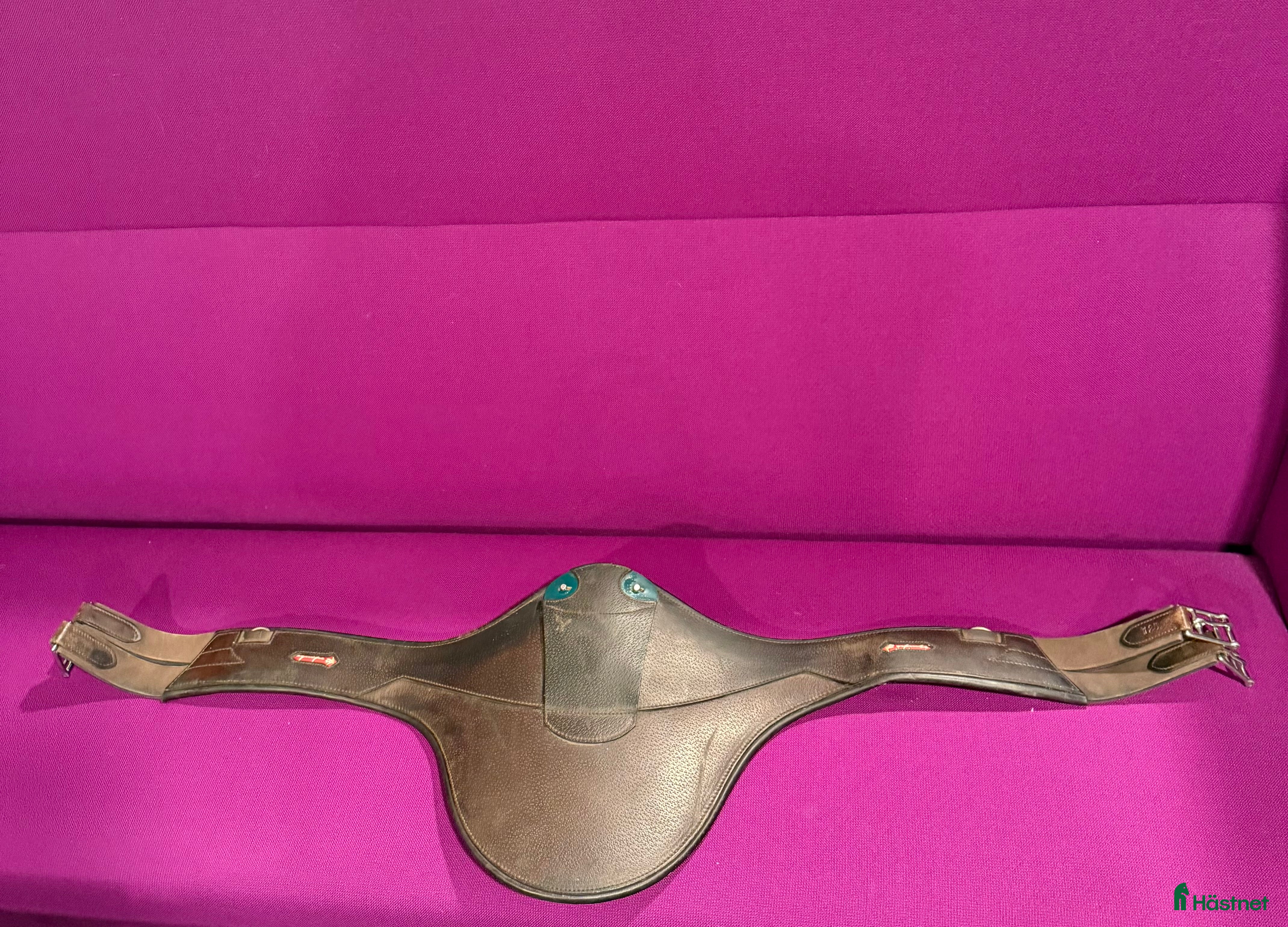 Sadeltillbehör hästutrustning Fin magplatta Equipe Evo i Linköping - Annons 12