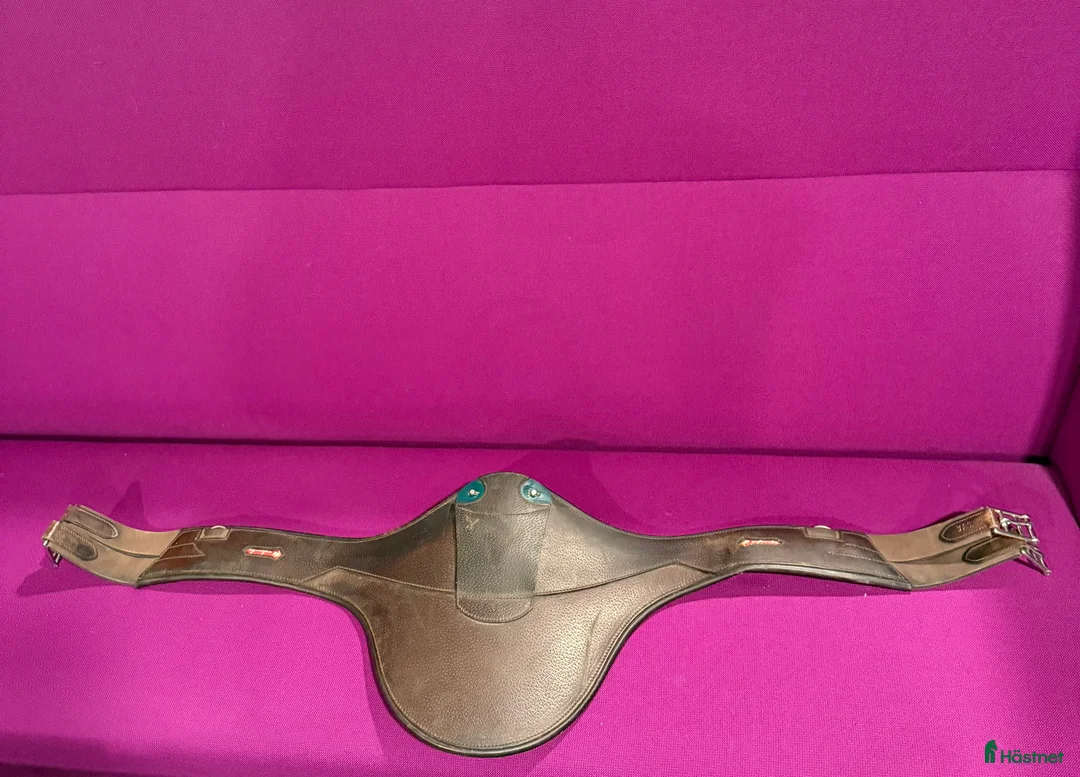 Sadeltillbehör hästutrustning till salu: Fin magplatta Equipe Evo i Linköping - Annons 1