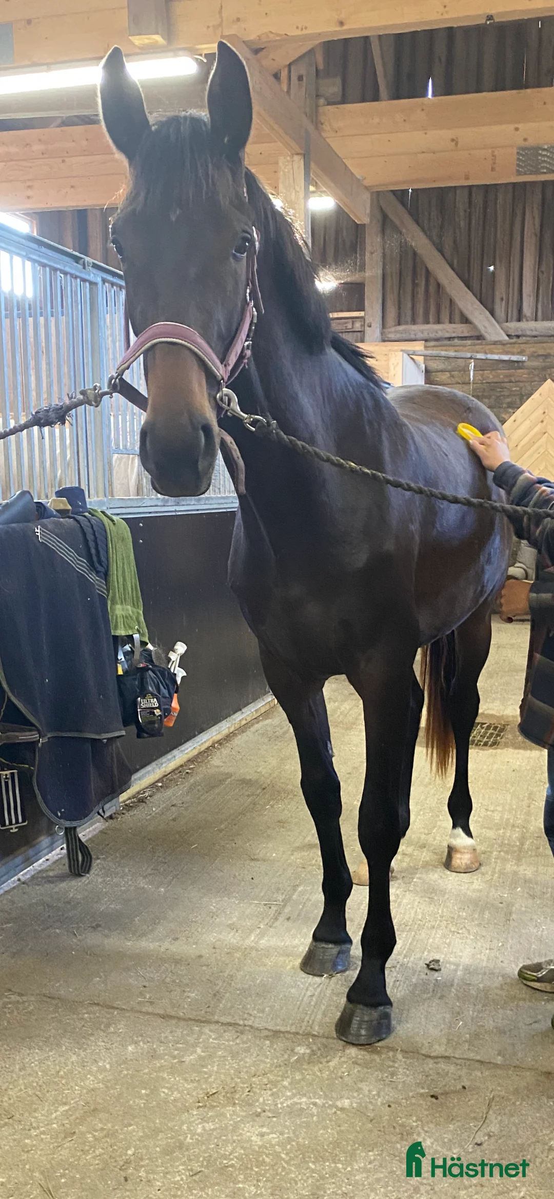  stallplats finnes: Stallplats i mindre stall - Annons 2