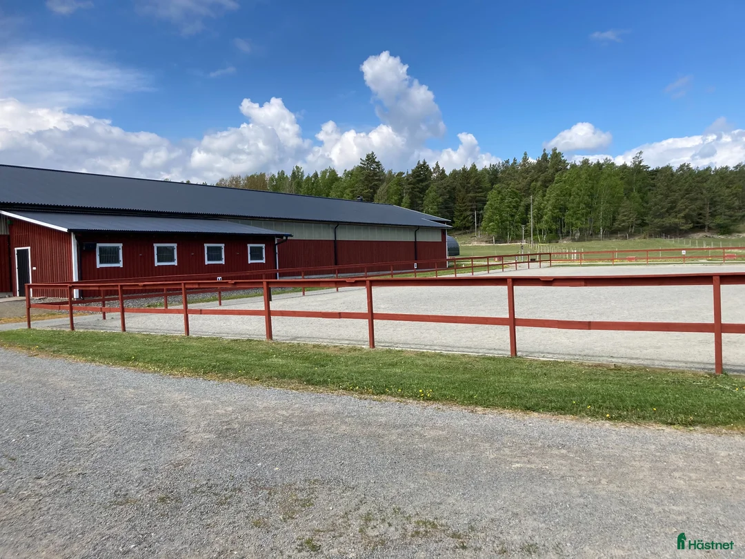  stallplats finnes: Stor häst sökes till trivsamt stall i Österhaninge - Annons 2