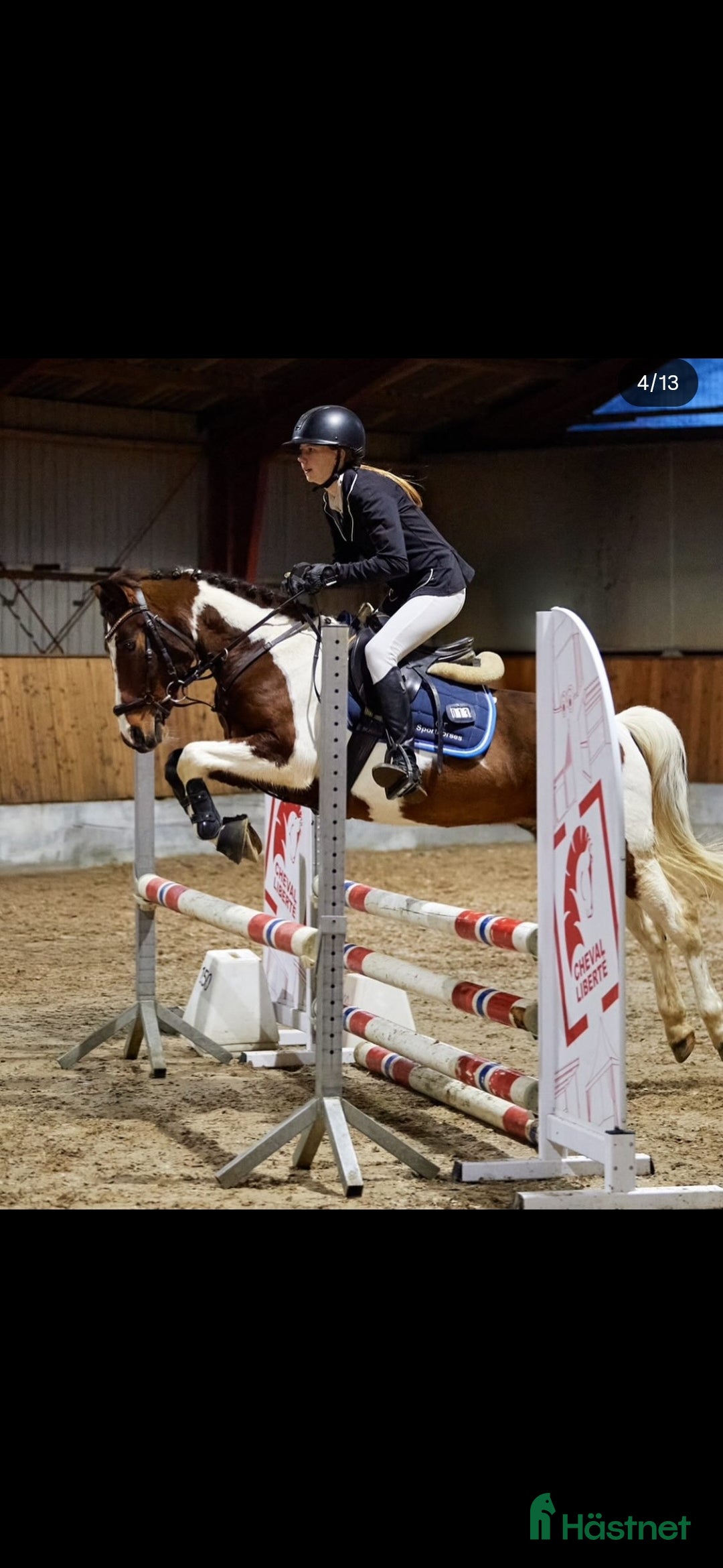 Allround hästar till salu: Allround pony - Annons 3